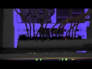 #ALD12 Shippensburg University Women in CS Group