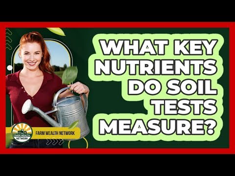What Key Nutrients Do Soil Tests Measure?