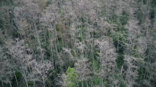 CADENA DE AMOR | Desde Zapopan, Jalisco, México. Fecha de transmisión: 08 de diciembre de 2025 MARÍA VISIÓN ®, M V MARÍA VISIÓN ® MARÍA VISIÓN LUZ CATÓLICA ® LUZ CATÓLICA ® TONANTILI ® "SINFONÍA CELESTIAL MARÍA VISIÓN" ® MARÍA MISIÓN® LOGOS Y DISEÑOS, PROGRAMAS DE RADIO Y TELEVISIÓN, SON OBRAS PROTEGIDAS D.R. © MARCAS Y DISEÑOS REGISTRADOS® LICENCIADOS A DIVERSAS PERSONAS JURÍDICAS EN MÉXICO Y A NIVEL INTERNACIONAL MÉXICO. 2001-2025 TODOS LOS DERECHOS RESERVADOS PROHIBIDA SU COPIA, REPRODUCCIÓN,