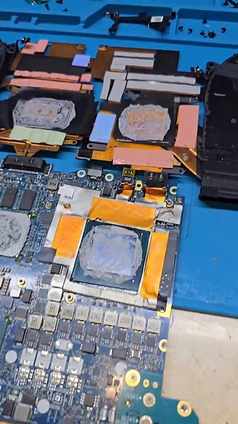 Why You Should Keep Pets Away from Your PC