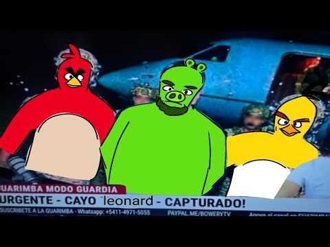 Curis de maduro con Mr. Blue Sky de fondo