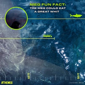 7.2K views | Egy rég elfeledettnek hitt bestia most visszatér. Ráadásul a lehető legrosszabbkor. Vajon sikerül-e túljárni az őscápa eszén, vagy a találkozás egy teljes legénység életébe kerül? Ha némi borzongásra és izgalomra vágysz akkor kattints a képre, és szerezd be a Meg - Az Őscápa című filmet webshopunkból! Egy kis érdekesség a megalodonról: | Pro Video Film & Distribution | Facebook