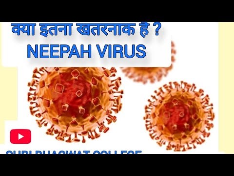🚨 Nipah Virus Alert!Fever = Don’t Ignore!Timely isolation & supportive treatment - life save.