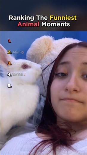 Ranking FUNNIEST Animal Moments