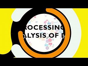 Part 1- Processing and Analysis of Data