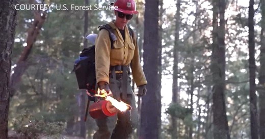 Huron-Manistee National Forests plan prescribed burns through September