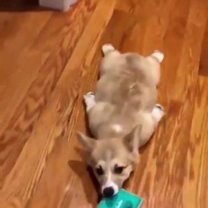 We're almost there!!! 😂🏁 || #WesleysWorld Tunes: http://flyt.it/CIDLPiTunes Spotiy: http://flyt.it/CIDSPTFY Google: http://flyt.it/CIDLPGoogle Amazon: http://flyt.it/CIDLPAmazon Soundcloud: http://flyt.it/CIDSC Tidal: http://flyt.it/CIDTDL | Trevor Wesley