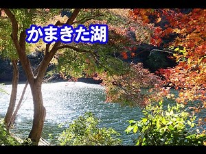 紅葉と朝日のハーモニー、かまきた湖 The harmony of autumn leaves and the morning sun at Lake Kamakita