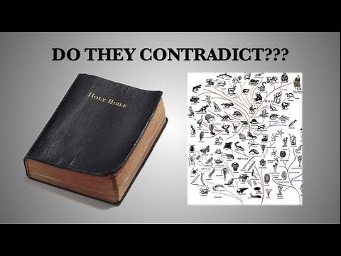 Christianity vs. Evolution?