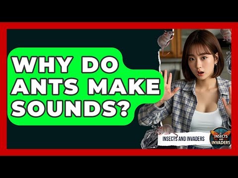 Why Do Ants Make Sounds? - Insects and Invaders