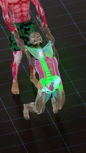 🔥 Open your chest, fire your glutes, and stretch tight hip flexors in one\rmove.