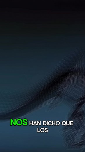 Dragones en la historia: ¿mito o memoria de dinosaurios? | Fabricio Escajadillo 🦖 Durante siglos nos contaron que los dragones eran pura fantasía… pero, ¿y si muchas de esas historias fueran recuerdos de algo real? En este video analizamos relatos antiguos, hallazgos sorprendentes y evidencias bíblicas que podrían cambiar para siempre la forma en que vemos a los dinosaurios. En este video encontrarás: 🐉 Relatos de dragones en culturas antiguas de todo el mundo. 📜 Textos históricos que describ