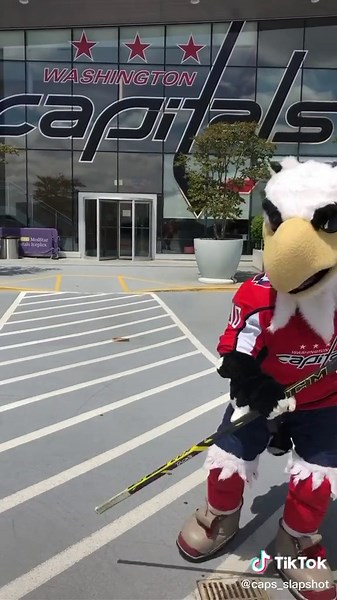 Did someone say #hockey is coming back? #nhl #capitals #mascot #slapshot