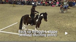This is for your coffee break as you have to have the sound to admire how THE PIE does everything in time to the music! This is back down memory lane when we did this kind of thing together. Now I'm in the office and he's in the field. What a WASTE! We need to get OUT THERE again!!! Join Us! | Kelly Marks and Intelligent Horsemanship