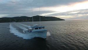 "If you don't get there before everybody else, you miss the fish."...