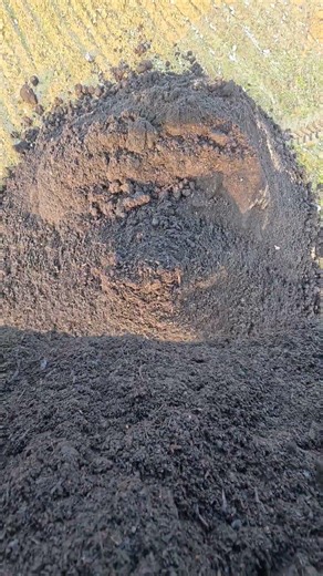 Preparation of raspberry planting #asmr #automobile #farming #villagepond #lithuania #agriculture