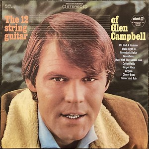 Glen Campbell - The 12 String Guitar Of Glen Campbell