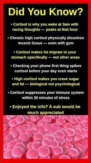 Things About Cortisol That Will Explain Everything 😰🔬