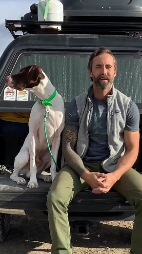 19K views · 342 reactions | Come to the 2023 National Pheasant Fest &...