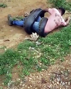 Ils sauvent un homme attaqué par un anaconda !