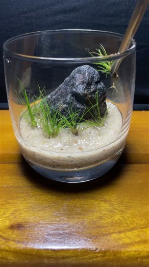 🌿Tiny Aquarium Landscape| Easy DIY Aquascape #miniaquarium #aquascape #shorts