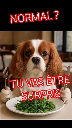 Pourquoi mon chien mange de l'herbe ? #pourquoi #chiens #comportementanimal