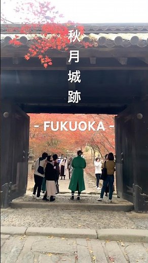 【まもなく見頃！🍁秋月城跡】福岡|紅葉おすすめスポットご紹介！！✨ #紅葉 #紅葉の名所 #福岡 #紅葉ライトアップ #紅葉ドライブ #人気 #おすすめ #穴場 #秋 #japan