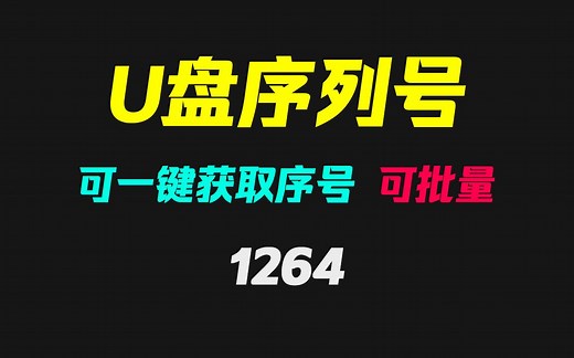 U盘序列号怎么查看？用它可一键获取 可批量