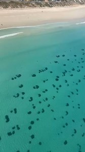 2.8K views · 7.9K reactions | Filmed on April 11, here is the only...