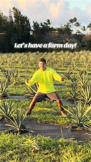 A Day on the Agave Farm