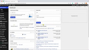How to Use the Plugin Manager.mp4