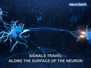 Basics 4: Signal Transmission