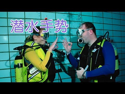 如何看懂潜水手势？|潜水教学Dive Skills:Hand Signals