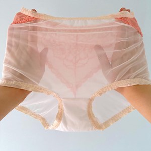 Sheer Panty With Coral Lace, Plus Size Lingerie - Etsy