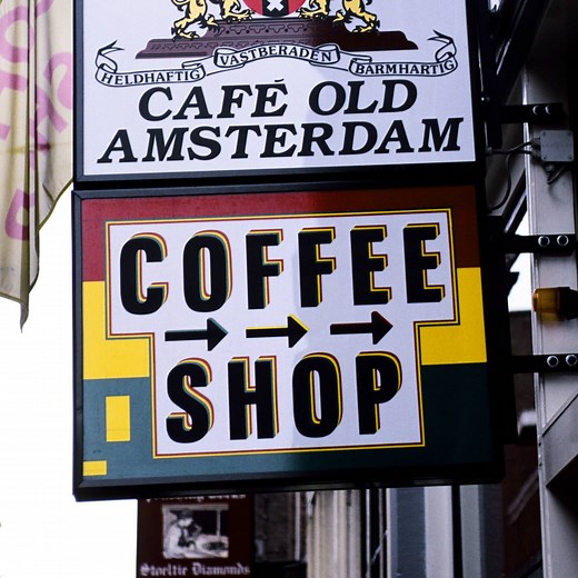 131K views · 202 reactions | Think the Netherlands has a relaxed policy on marijuana? Here's the reality, including that it's illegal to grow the drug in the country. | Forbes | Facebook