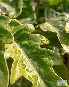 ✅Rivers Landscape is a leader in luxury landscaping and outdoor living design and construction, serving San Diego County communities for more than 20 years. Contact Us: Website: https://www.riverslandscape.com/ | Rivers Landscape Construction Inc. | Facebook