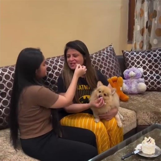 “Our Dog’s Birthday Celebration 🎂🐶 | Cake Cutting & Funny Dance Party”