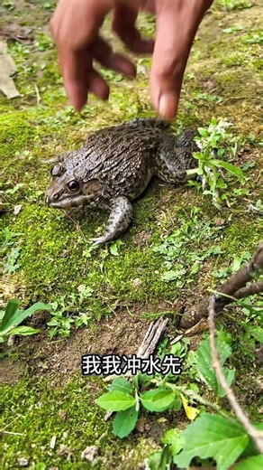 Every Morning Same Toilet Story 😂#MorningRoutine