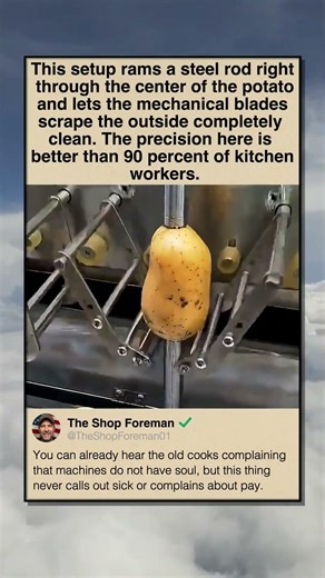 AUTOMATED PEELER STRIPS POTATOES IN SECONDS