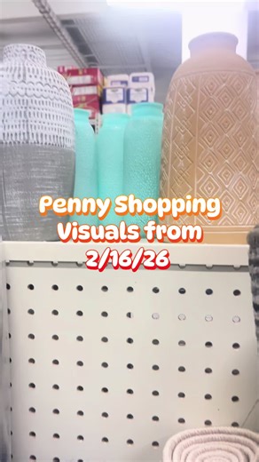 Exciting Penny Shopping Haul & Finds!