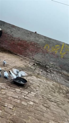 Game pothi paa gyi funny moments