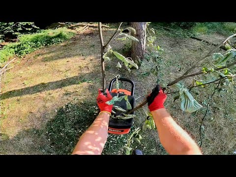 POV Shredding Branches – Satisfying Wood Chipper Action!