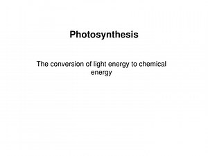 Photosynthesis - SlideServe