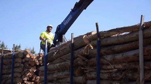 The Engaging Method Behind Paper Manufacture From Trees to Final Product