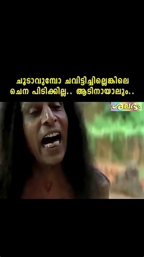 എന്താ ...ഒരു ചുറ്റിക്കളി...#shorts #malayalam #movie #southindianmovies #reels #binduvarappuzha