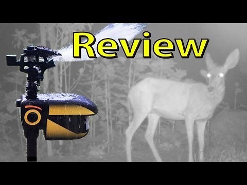 My Review: Scarecrow Motion Activated Sprinkler - Wildlife Deterrent