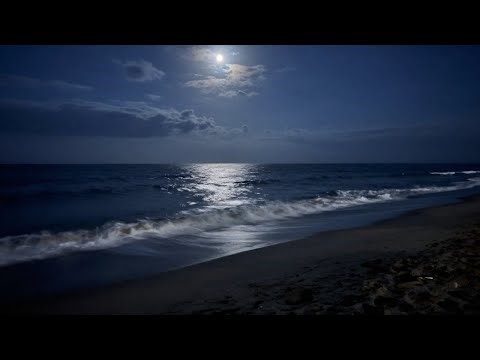 Let These Ocean Waves Melt Stress Away 🌊😴