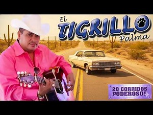 El Tigrillo Palma Mix Pa' Pistear - Puros Corridos Pesados Mix - 20 Grandes Exitos