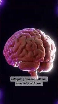 Quantum Effects on the Brain: Consciousness, Memory & the Mystery of Free Will