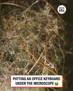 19K views · 59 reactions | I was not expecting that!  ⌨️ | Lessons Learned In Life | Facebook